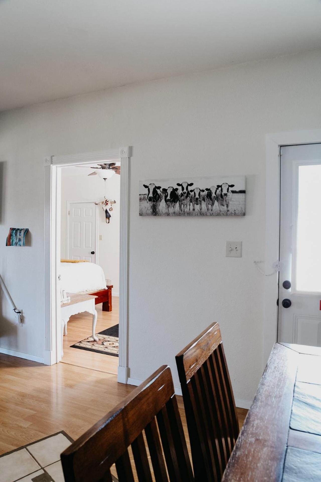Hadley'S House - A Country 3 Bdrm With Screened-In Porch Нью-Браунфелс Екстер'єр фото